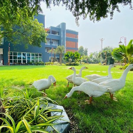 Krishna Riverside Resort Vasad エクステリア 写真