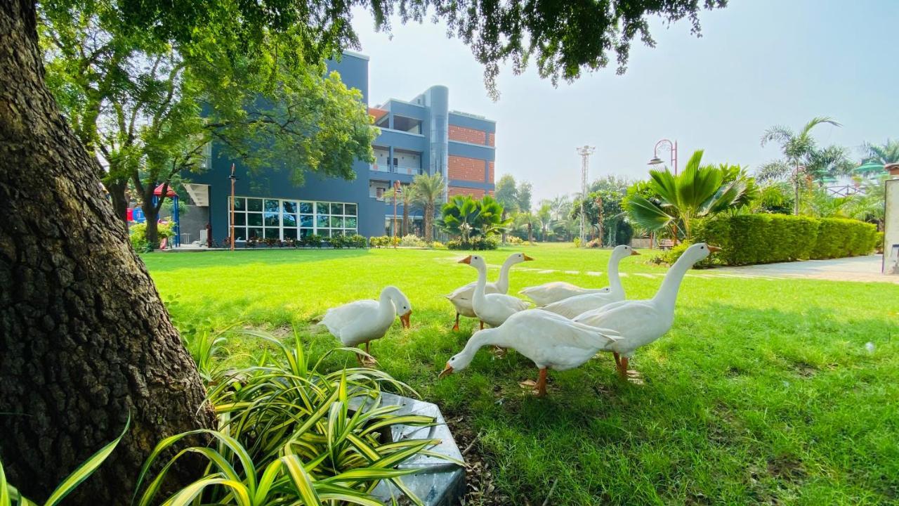 Krishna Riverside Resort Vasad エクステリア 写真